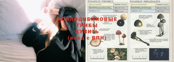 соль курить ск Балабаново