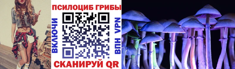 Псилоцибиновые грибы Magic Shrooms  магазин продажи наркотиков  Лебедянь 